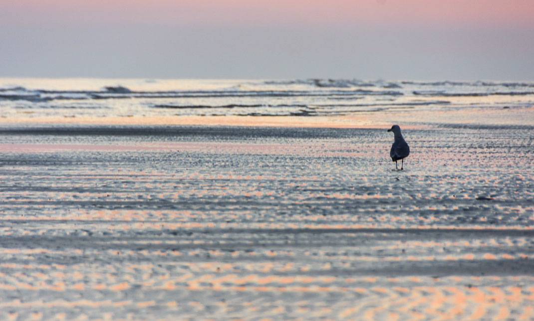 Langeoog, Sonnenaufgang, Meer, Urlaub, Nordsee, Deutschalnd