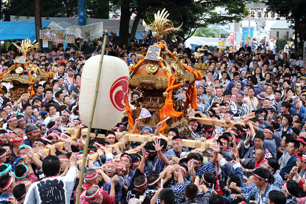 北澤八幡神社 御鎮座550記念 例大祭, 宮神輿渡御, 2018年9月1日-2日