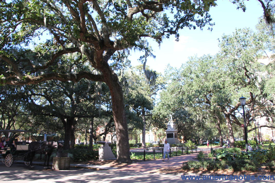 Die besten Sehenswürdigkeiten, Attraktionen und Reisetipps für Savannah. Die Plätze der Altstadt von Savannah.