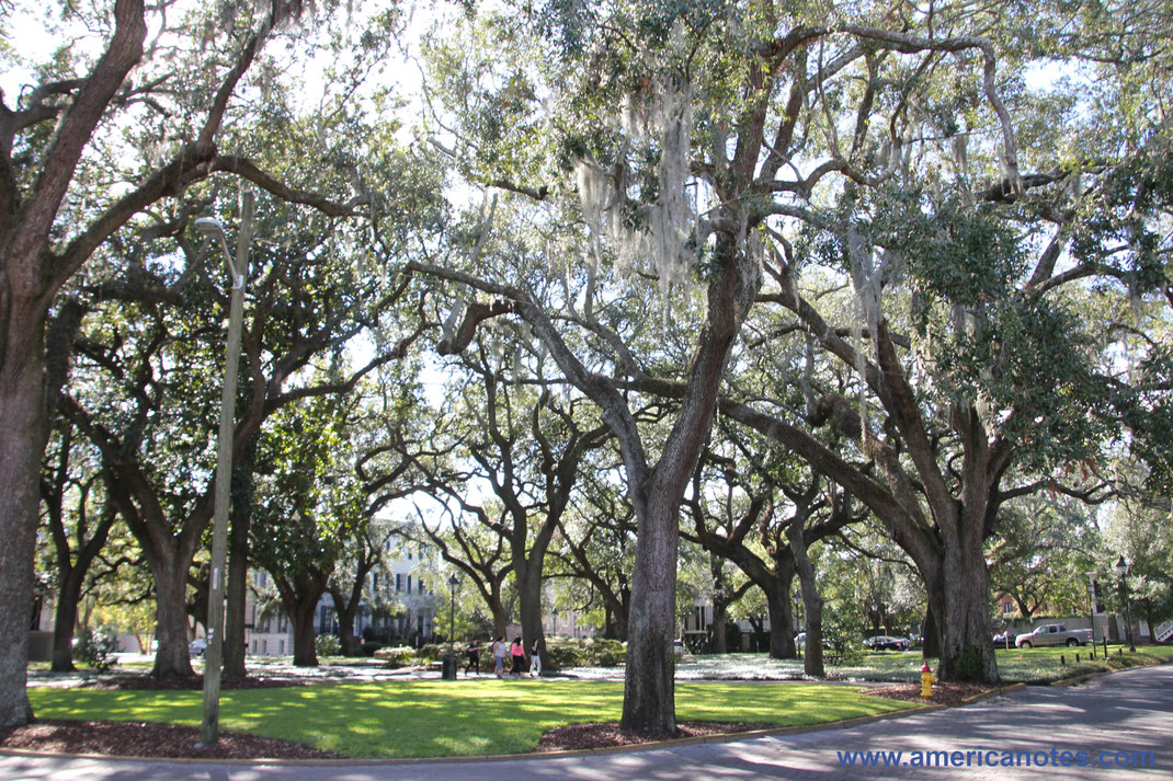die besten Stadtführungen in Savannah: Worauf du bei der Wahl einer Stadtführung achten solltest