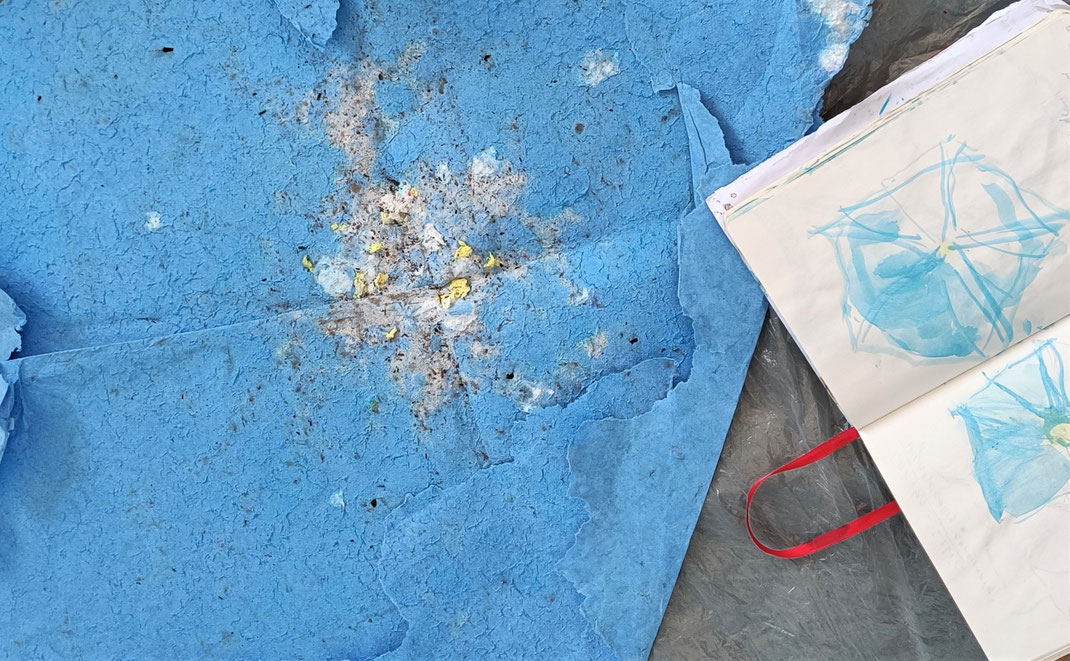 SKETCHBOOK 2022. Series of drawings with pencil, crayon and ink in preparation for the Paper Land Art Symposium with Heike Berl´s project 'Blaue Blume'