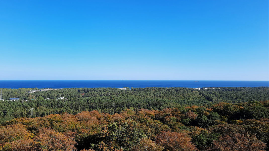 Waldreiches Rügen - Blick nach Prora, vereinzelt die KdF-Gebäude zwischen den Bäumen hindurch im Übergang zum Meer zu erkennen