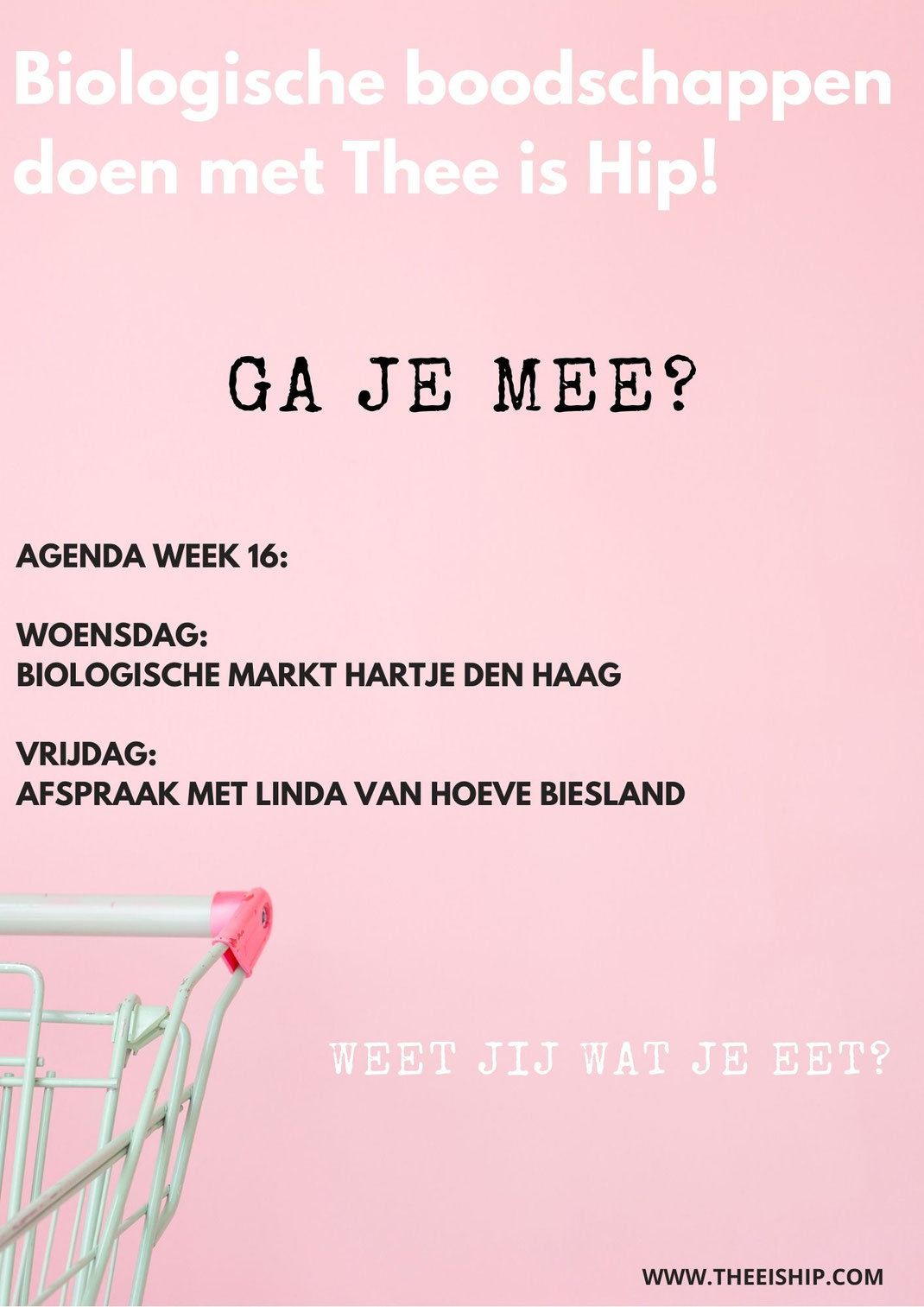 Waar kan ik betaalbare biologische producten kopen? By Thee is Hip!