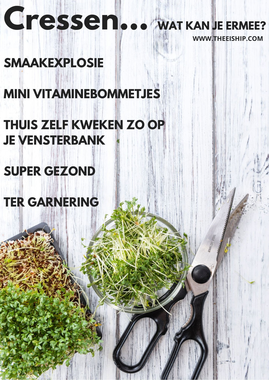Gebruik jij al cressen voor je gezonde maaltijd? By Thee is Hip!