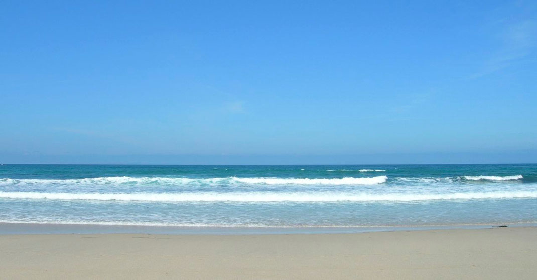 Die perfekte Strandlektüre