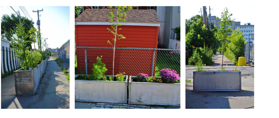 bacs à fleurs pour ruelle verte de LARTISNICK