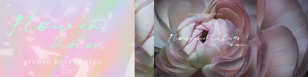 Blütendrucke, Blüten-Prints, Fine Art Fotografie, Grußkarten, Blüten-Karten, Postkarten mit  Blumenmotiven, handmade, Etsy-Shop