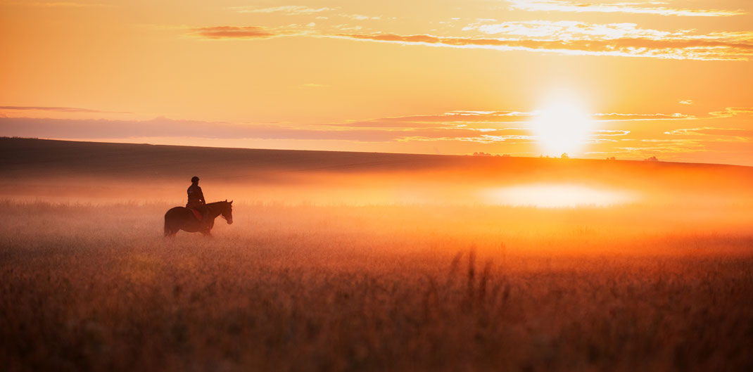 Reiter und schwarzes Pferd reiten im Sonnenaufgang und Nebel