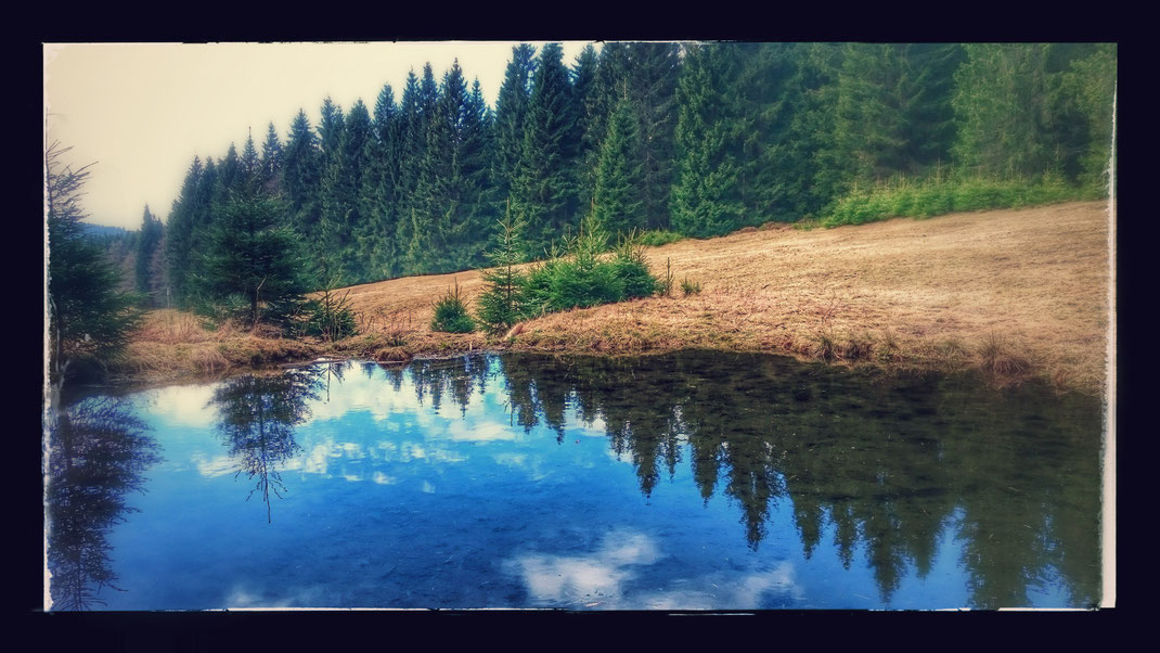 Kleiner Teich am Schlezenbach im zeitigen Frühjahr 2017