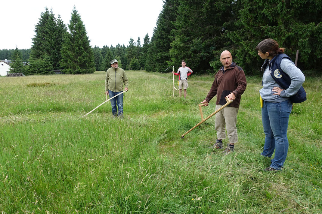 Sensenkurs auf der Arnikawiese