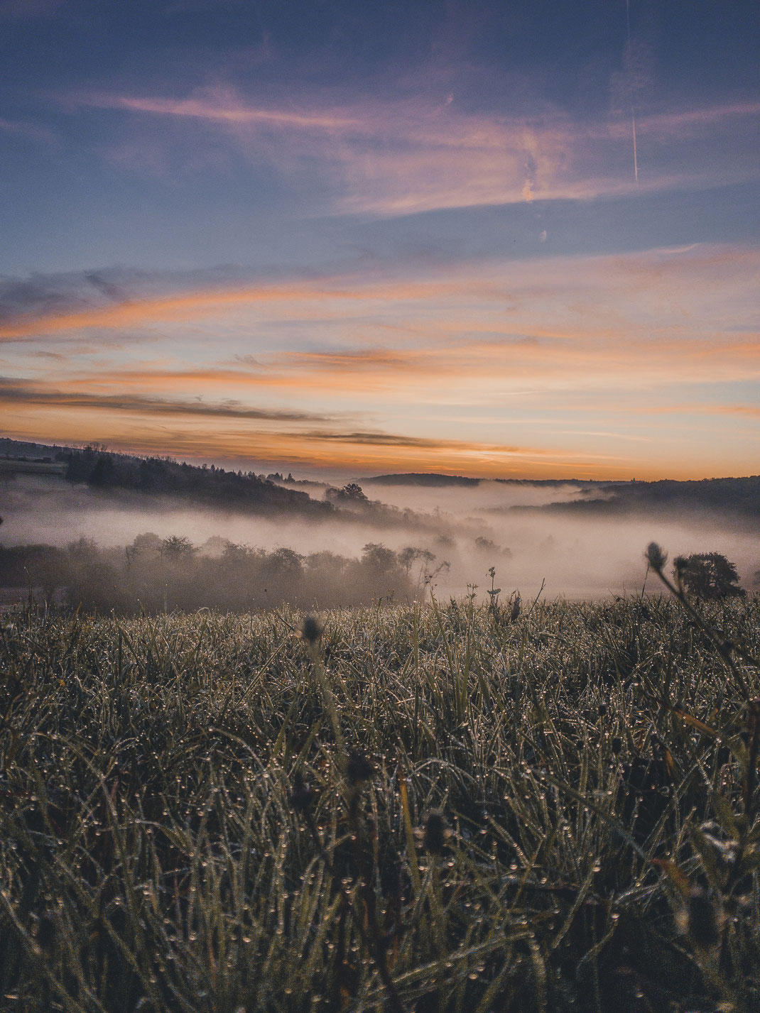 Workshop Fotografieren mit dem Smartphone / Handy in Würzburg, Höchberg und Umgebung