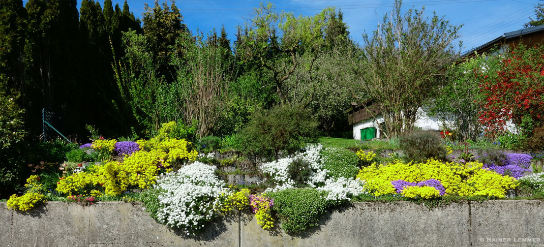 Ein "Blumen Feuerwerk"  