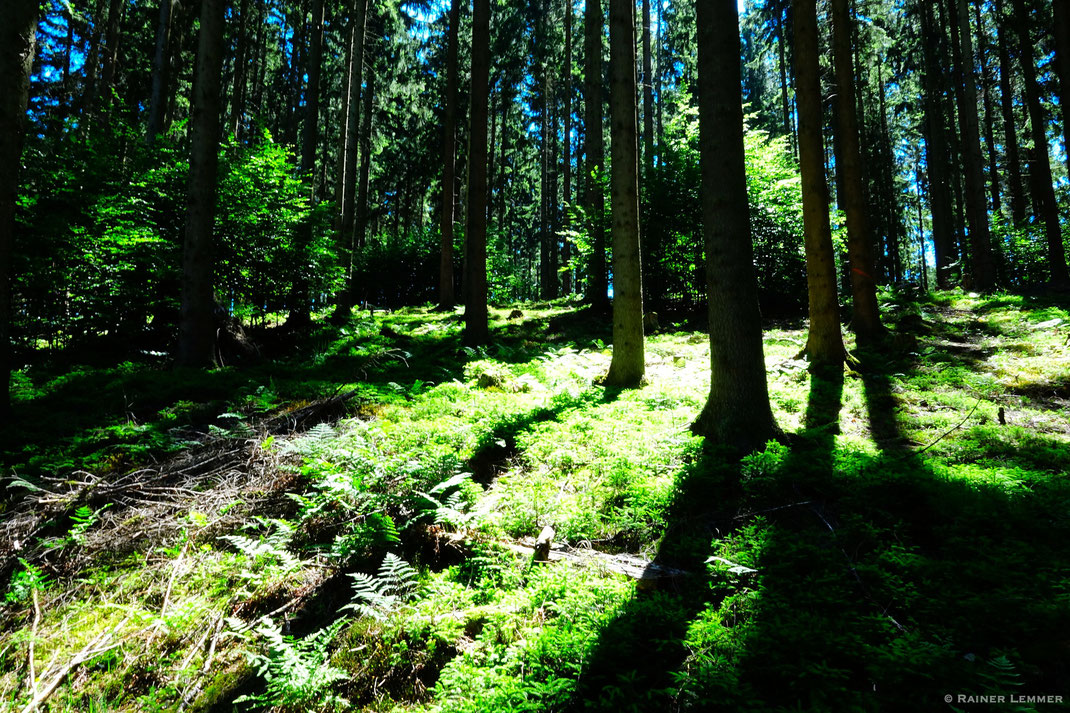 Licht und Schatten bei Heuzert