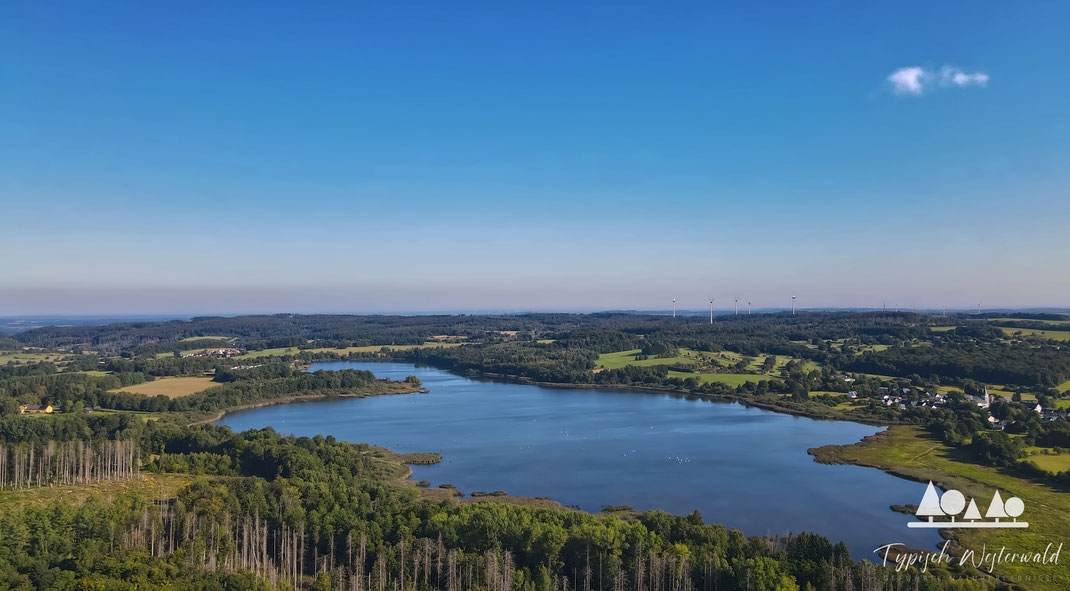 Dreifelder Weiher