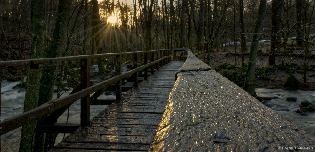 Brücke über den Holzbach in der Holzbachschlucht