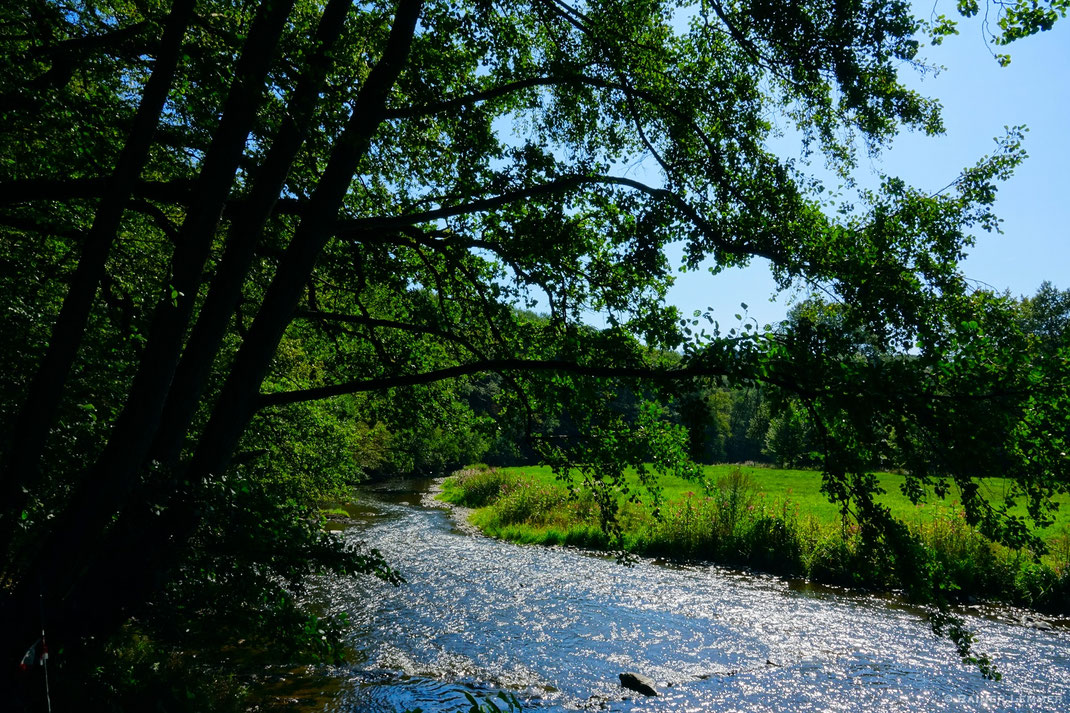 Nister bei Ahlhausen