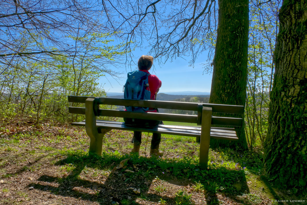 Blick zum Feldberg im Taunus