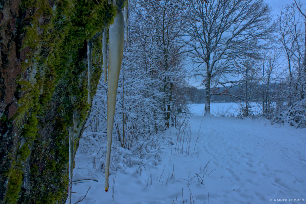 Eiszapfen am Wiesensee