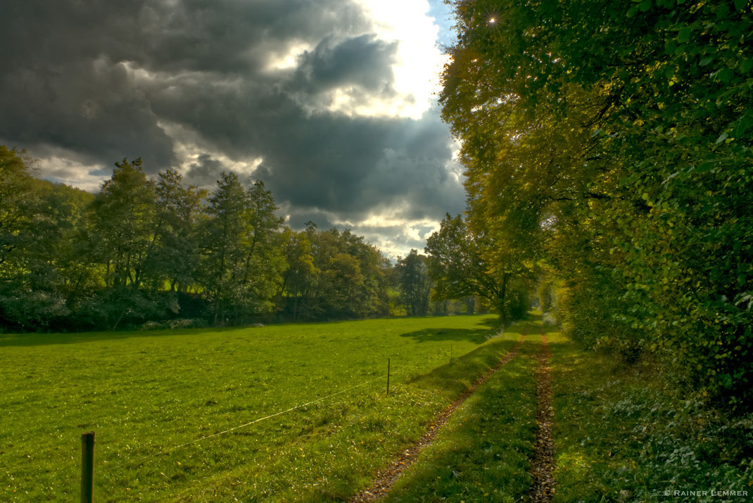 Dreifelder Weiher