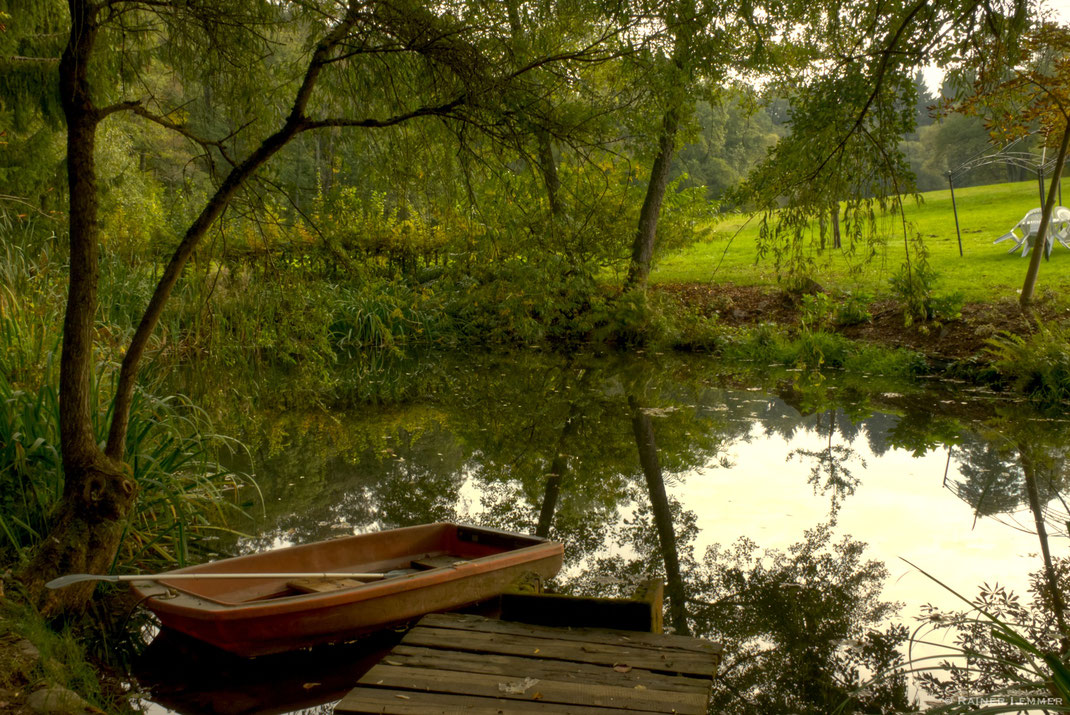 Mühlweeiher an der Dickendorfer mühle