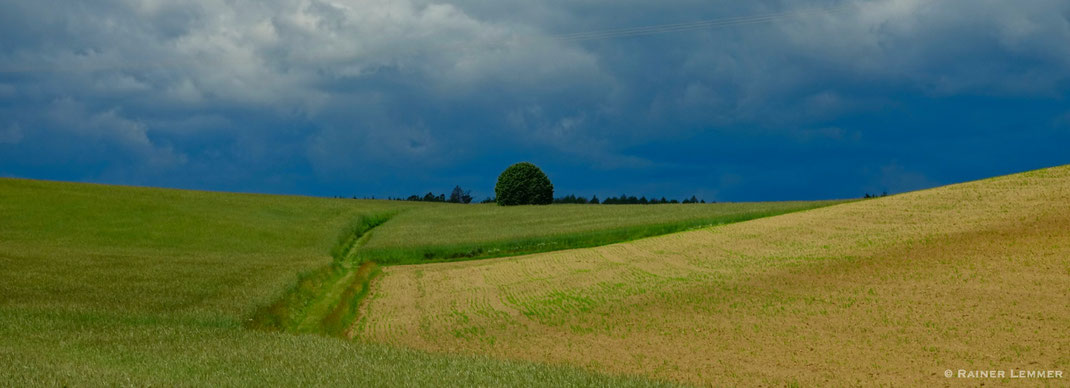 Allein auf weiter Flur