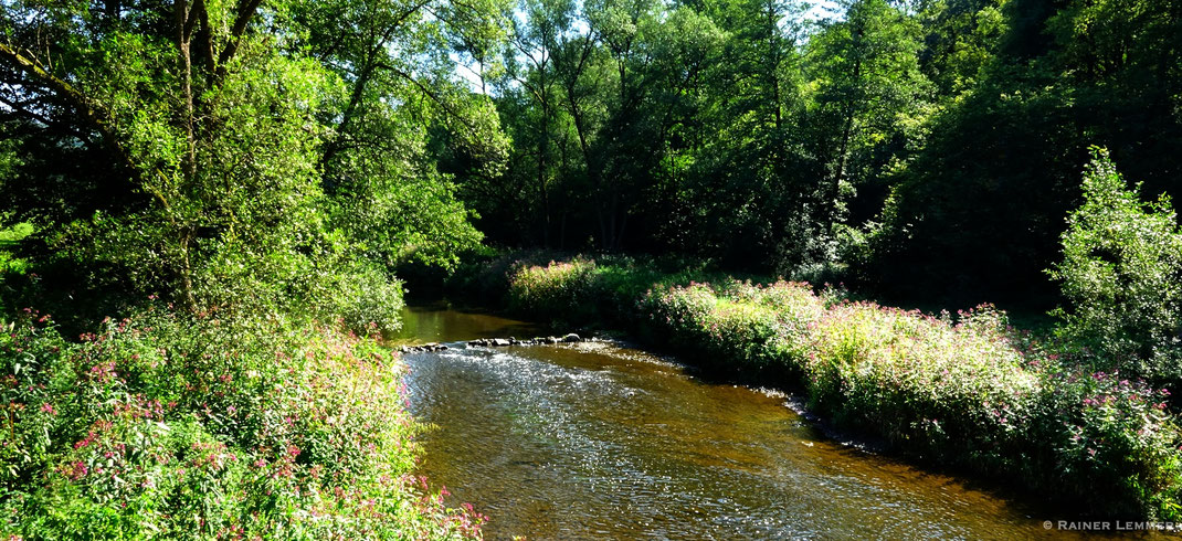 Nister bei Ahlhausen