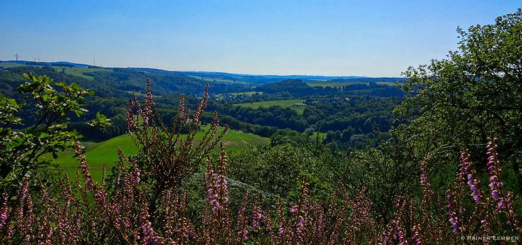Weitblick vom Sonnenberg