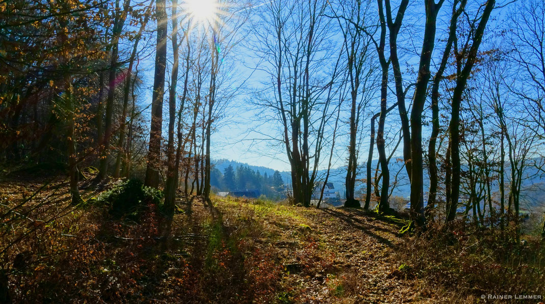 Etappe 15 WW-Steig bei Roßbach