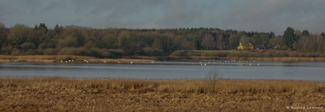 Dreifelder Weiher "Blick auf die Seeburg"