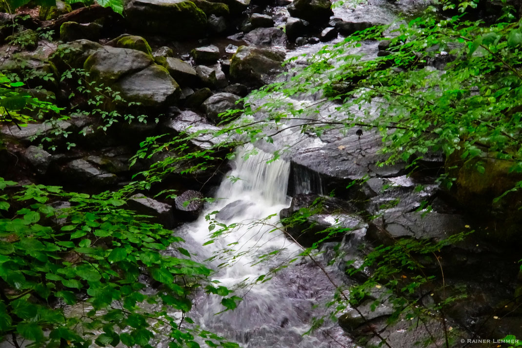 Holzbachschlucht