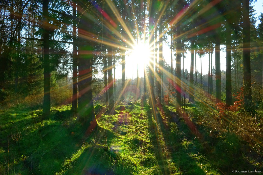 Morgensonne bei Rotenhain