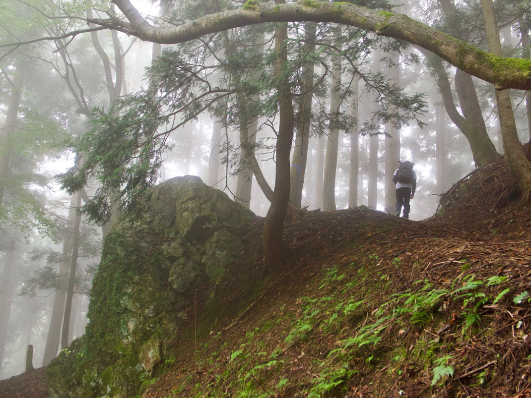 Hiking the Saba Kaido trail, aka the "Mackerel Road." 