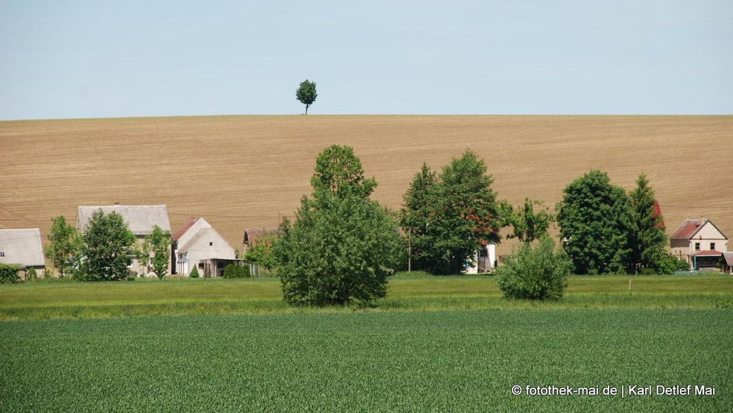 Während der Bahnfahrt bei Oschatz Felder, Dorf, ein Baum am Horizont 