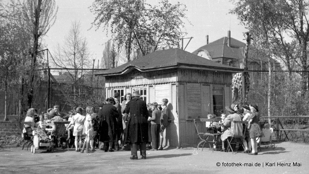 Kisok mit vielen Leuten an Tischen sitzend vor Gehege der Giraffen