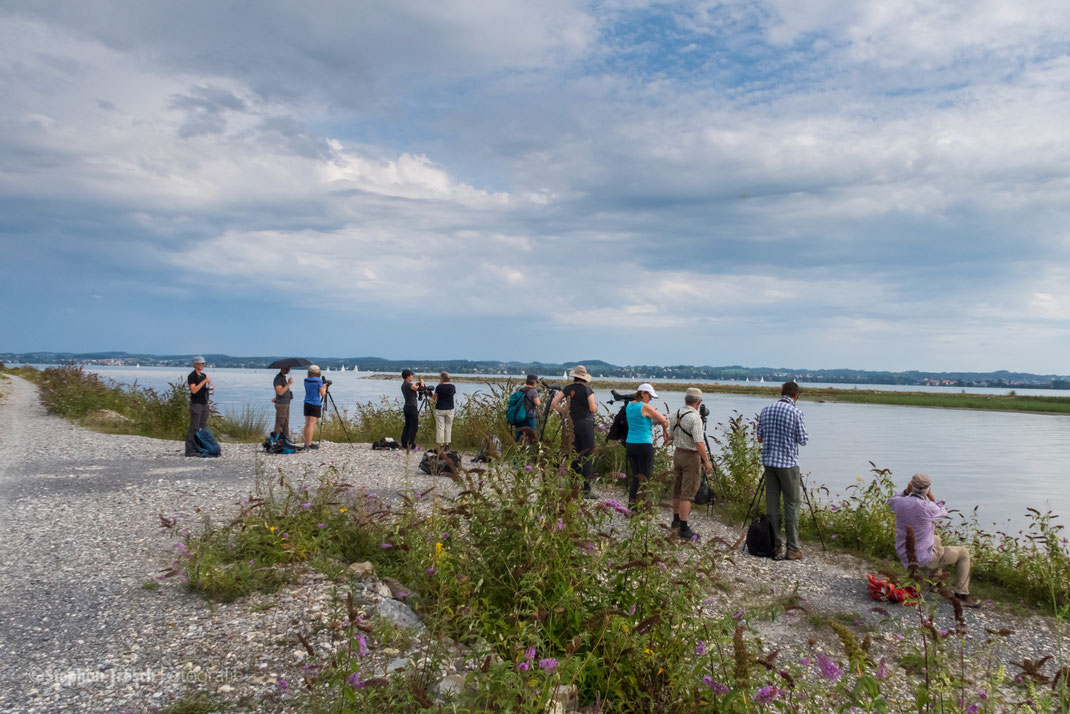 Die Exkursionsgruppe von BirdLife Luzern am 01.09.2019 an der Mündung des Alpenrheins im Vorarlberger Rheindelta (Foto: Stephan Trösch)
