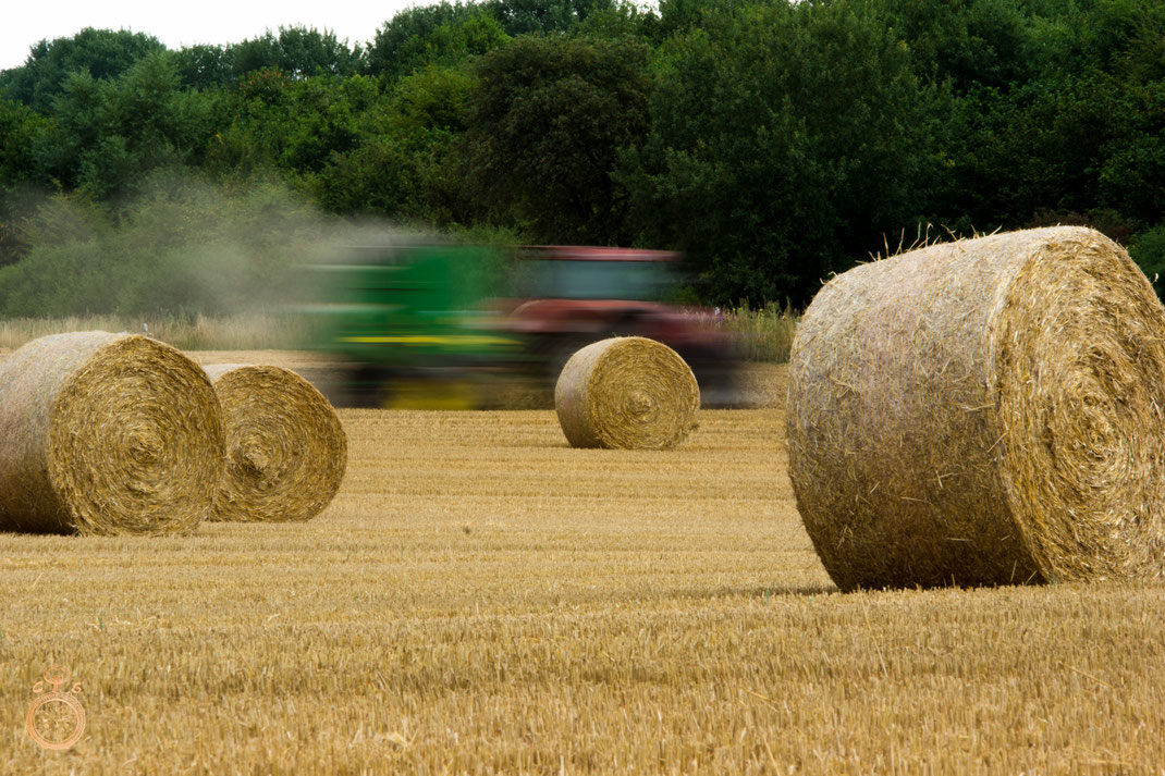 the fast farmer