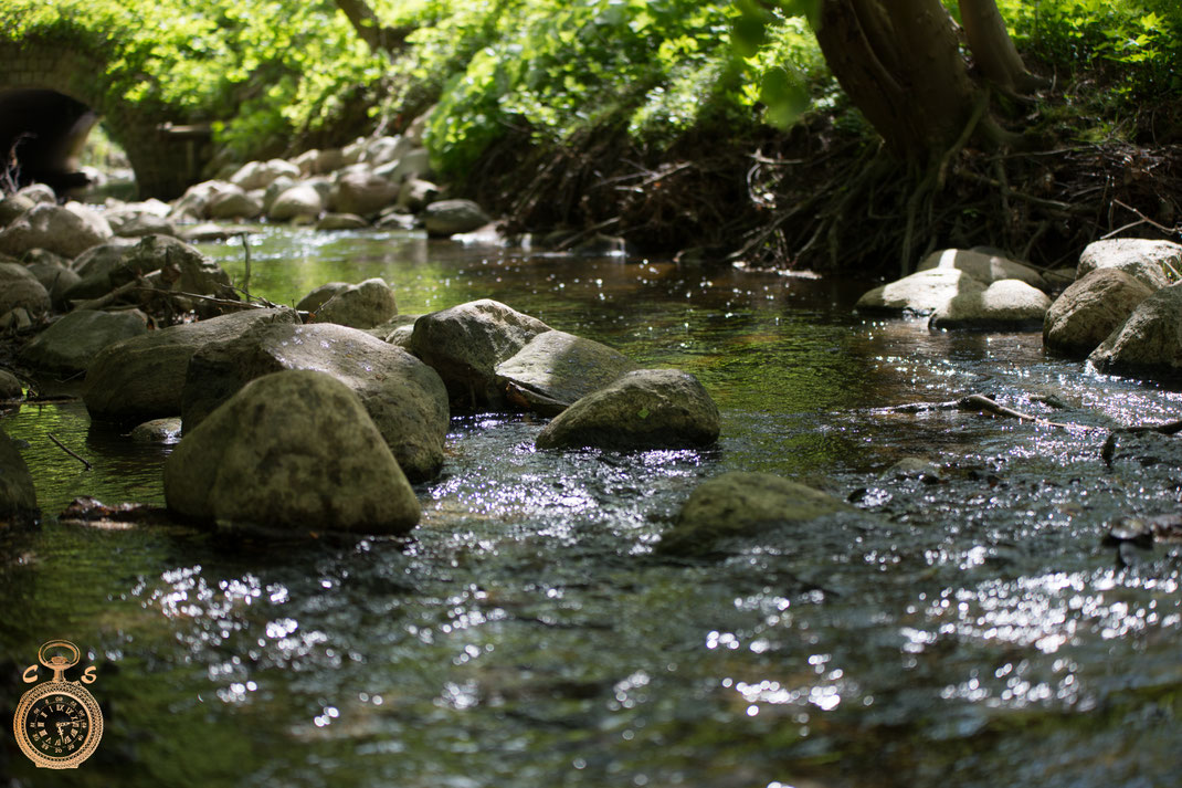 Lachsbach! A green break. (Lachsbach!  meaning salmon flow )
