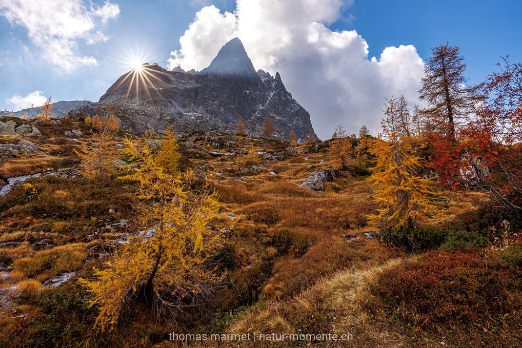 Herbst, Herbstfarben, Berge, Alpen, Schweiz, Sonne