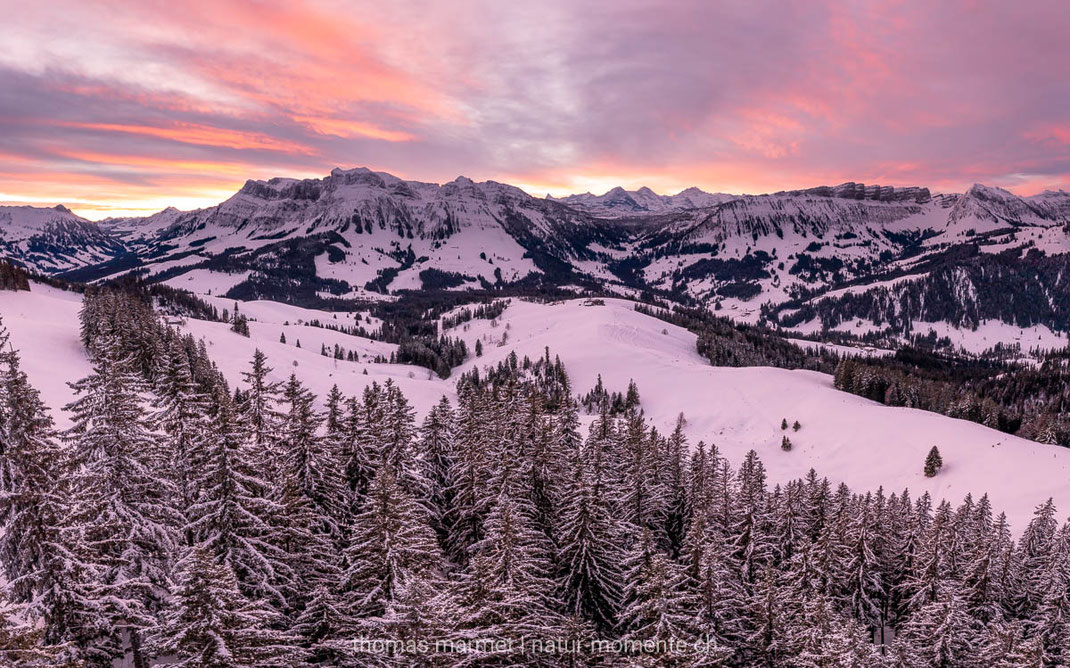 Berner Oberland, Wald, Winter, Morgenrot, Berg