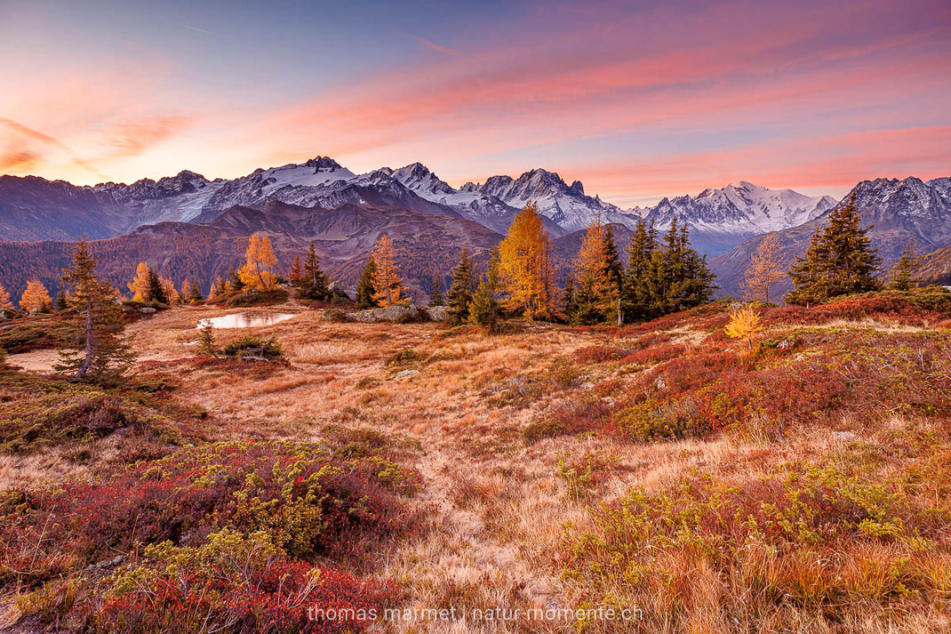 Herbst, Herbstfarben, Berge, Alpen, Schweiz, Morgenrot, Wallis