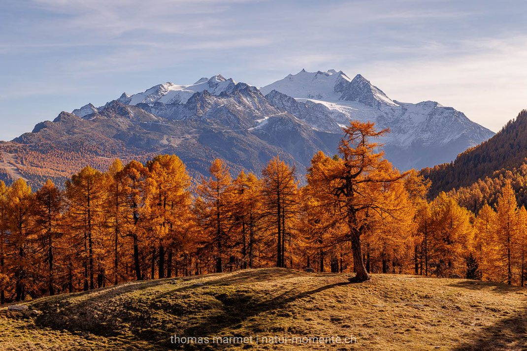 Herbst, Herbstfarben, Berge, Alpen, Schweiz