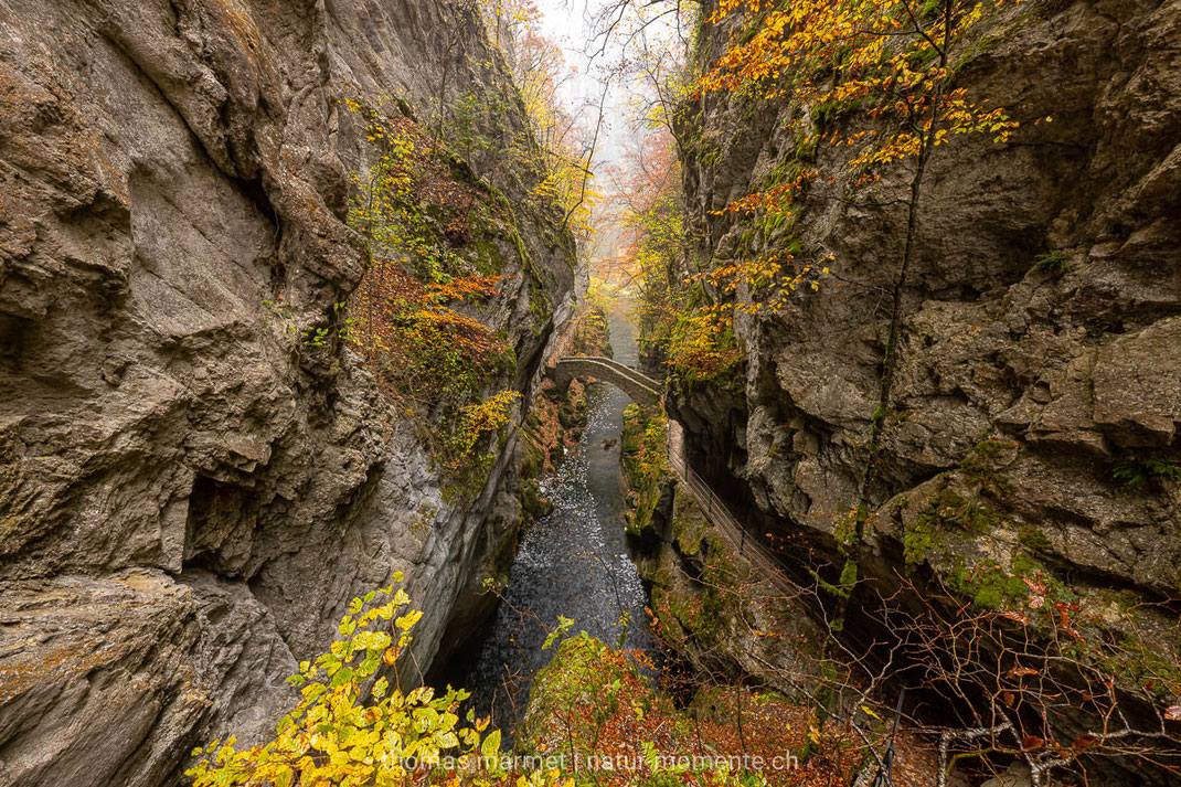 Herbst, Herbstfarben, Schlucht, Jura, Schweiz