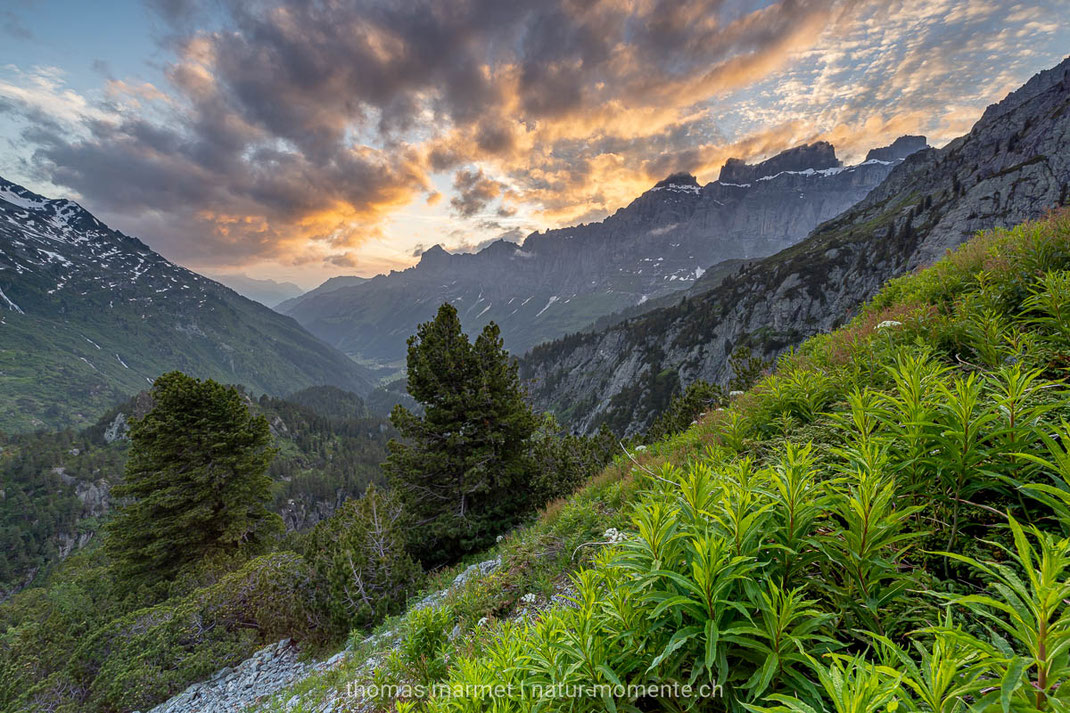 Berner Oberland, Alpen