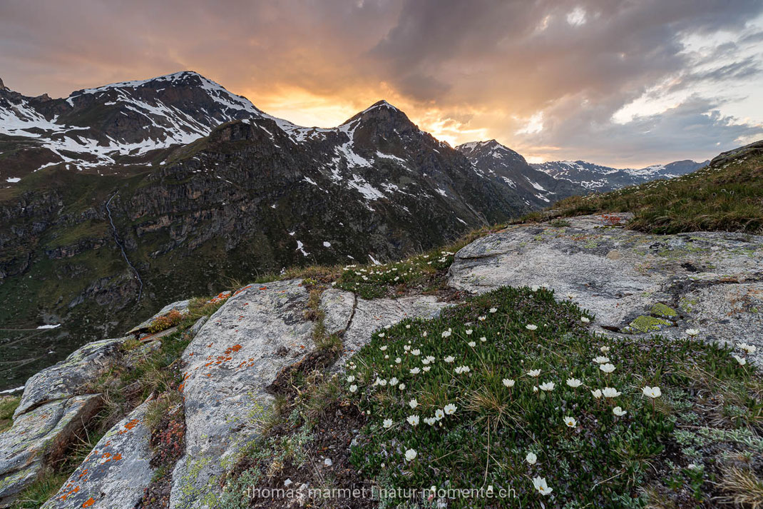 Alpen, Wallis