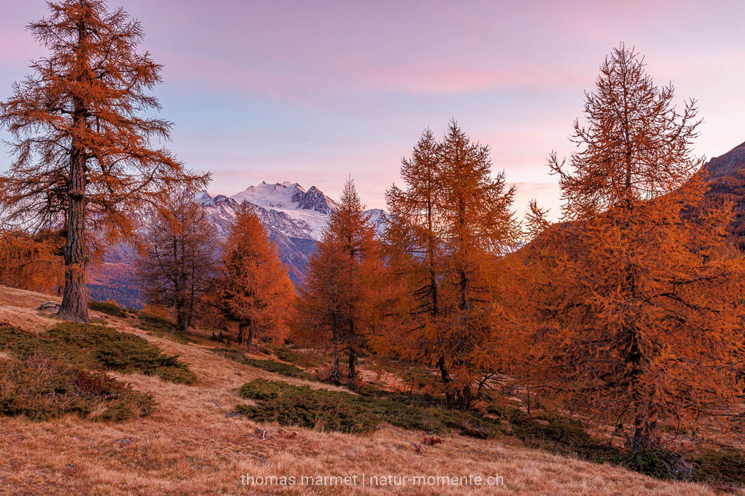 Herbst, Herbstfarben, Berge, Alpen, Schweiz