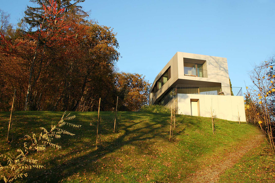 Haus am Hang Metallfassade ©2019 Welte Architetkur