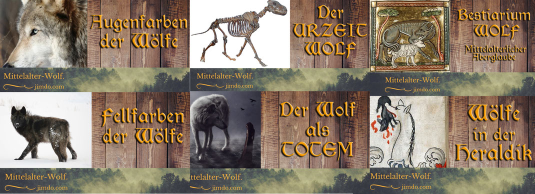 Mittelalter wolf blog überblick übersicht lesen wissen wissenswertes Mittelalter wolf wölfe blog überblick übersicht spannend interessant lesen wissen wissenswertes augenfarben heraldik geschichte urzeitwolf urzeit mythologie totem fellfarben  