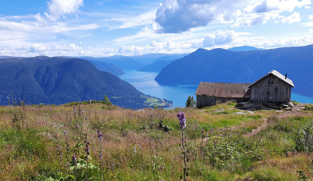 Après 370 m de montée, on découvre une première vue de carte postale sur le fjord