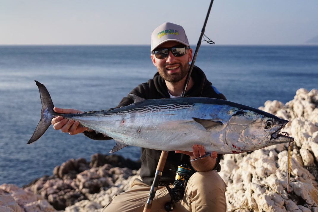 Johannes Höfner | Thonine / Kleiner Thun / Little tunny / False albacore / Little tuna / Bonita | Euthynnus alletteratus | 92cm | Adriatisches Meer | Kroatien | 27. Jänner 2024