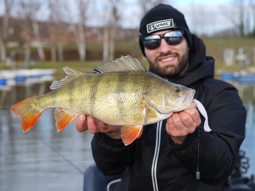 Johannes Höfner | Flussbarsch | Perca fluviatilis | 46cm | Donau | Österreich | 12. Dezember 2023